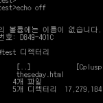 배치파일 문법 echo의 활용