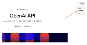 OpenAI API 화면