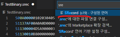 VSCODE에서 S19 보기 이미지